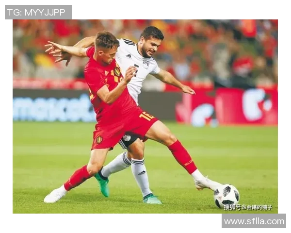 澳门黑熊与东方龙狮历史交锋回顾及战绩分析 澳门黑熊与东方龙狮历史交锋回顾及战绩分析