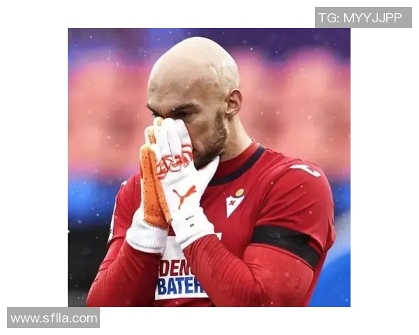 德米特罗维奇:代替霍安没额定压力,前几年顶布努压力是真大 德米特罗维奇:代替霍安没额定压力,前几年顶布努压力是真大